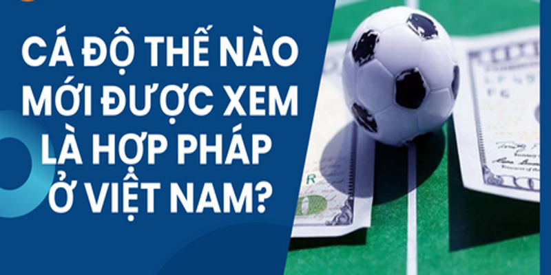 Cá độ bóng đá hợp pháp là gì