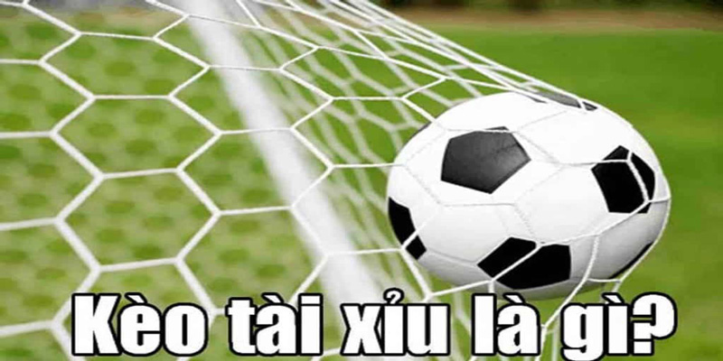 Lưu ý cần nắm khi biết cách đọc kèo bóng đá trực tuyến