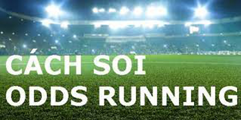 Khi nghiên cứu và soi odds running