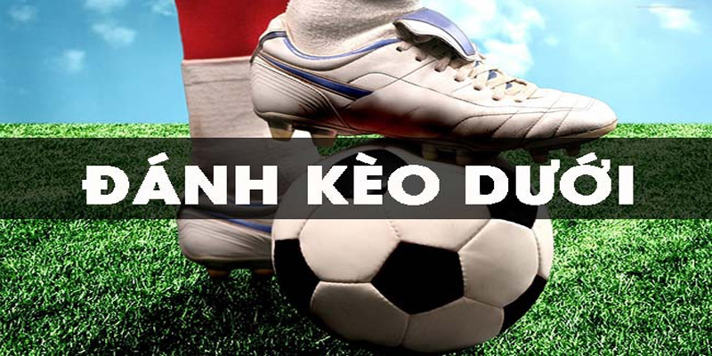 Các loại kèo trên dưới trong cá độ tại caheo