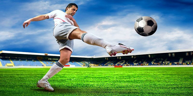 Sơ lược về LM là vị trí nào