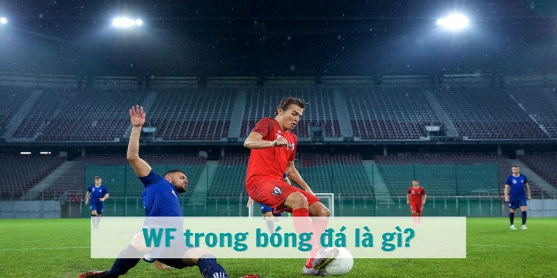 Vai trò và nhiệm vụ