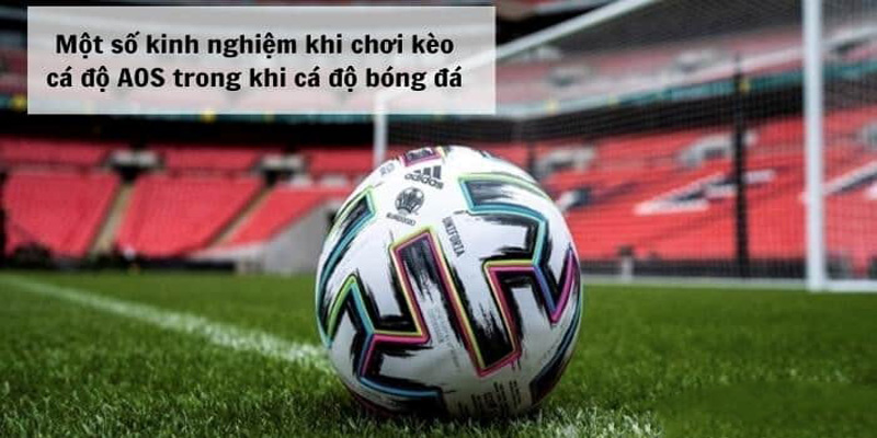 Cách tính tiền kèo aos