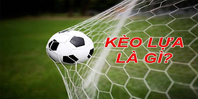 Kèo lựa ở khu vực châu Âu