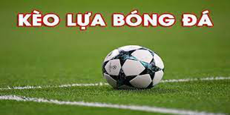 Thứ hạng của đội bóng đầu tư cá cược
