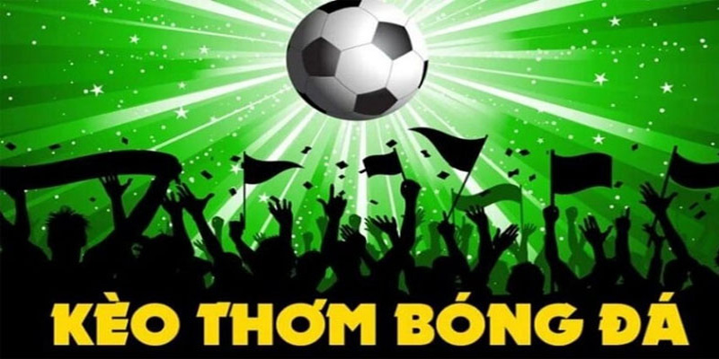 Bí kíp cho tân thủ bắt kèo thơm