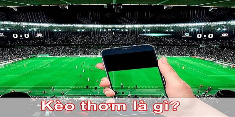 Đánh giá chi tiết phong độ của từng đội bóng