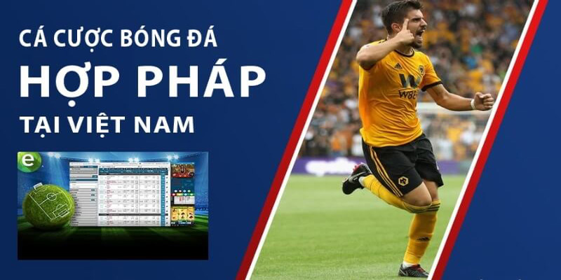 uyền và nghĩa vụ của người tham gia cá độ