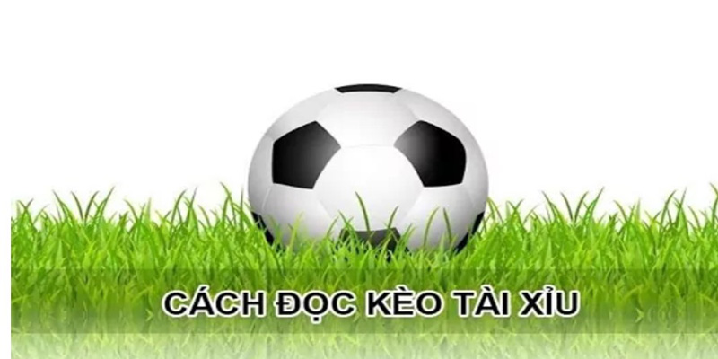 Tài xỉu trong bóng đá