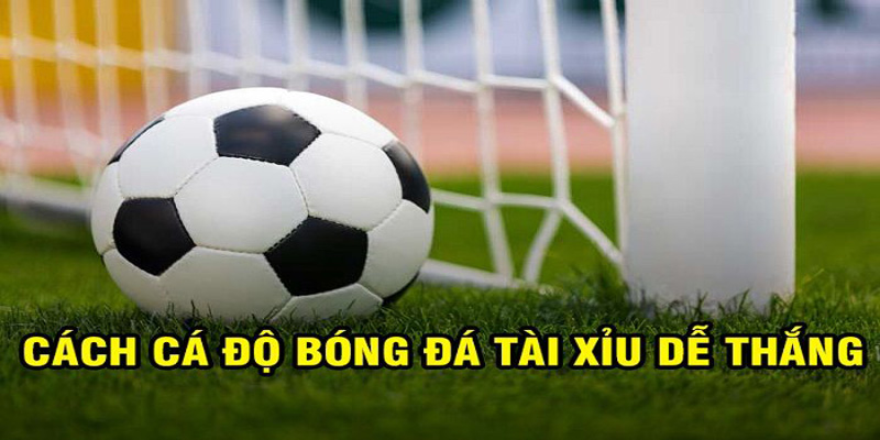 Cách chơi các loại kèo tài xỉu trong bóng đá